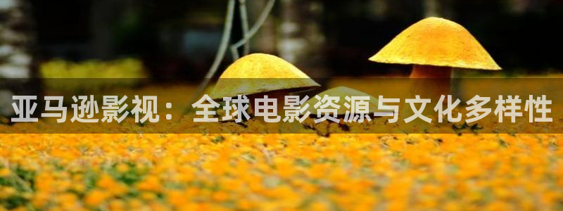 羞羞影院试看：亚马逊影视：全球电影资源与文化多样性