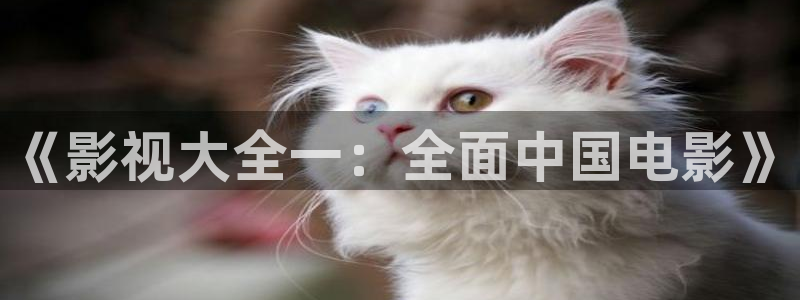 羞羞影院免费在线看：《影视大全一：全面中国电影》
