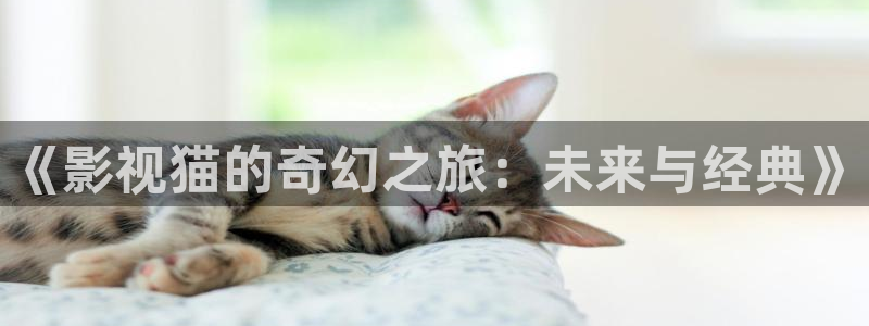 男女男免费视频网站羞羞影院：《影视猫的奇幻之旅：未来与经典》