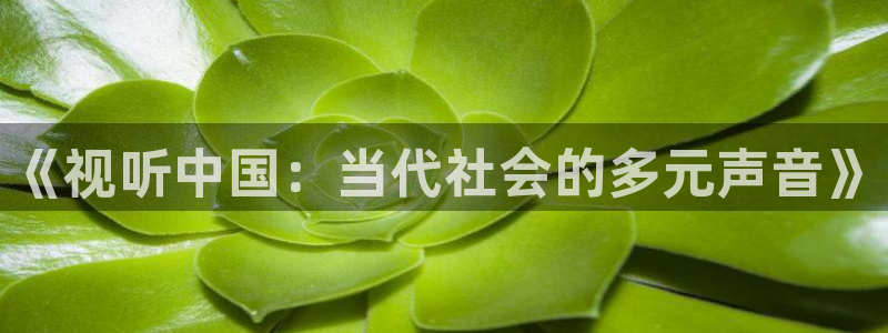 羞羞影院：《视听中国：当代社会的多元声音》