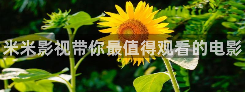 男同羞羞影院：米米影视带你最值得观看的电影