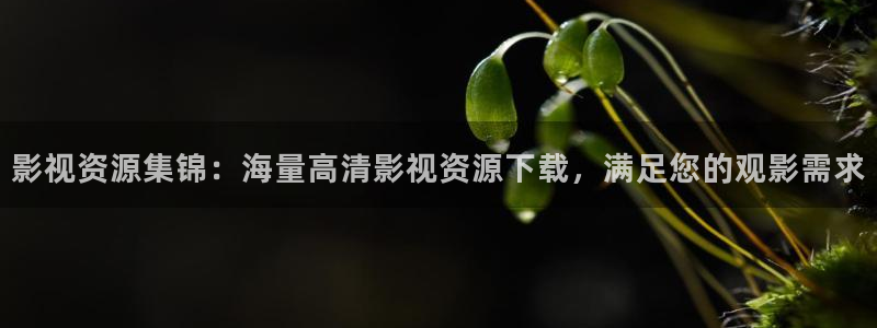 羞羞影院免费体验区：影视资源集锦：海量高清影视资源下载，满足您的观影需求
