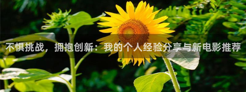 羞羞影视网址：不惧挑战，拥抱创新：我的个人经验分享与新电影推荐