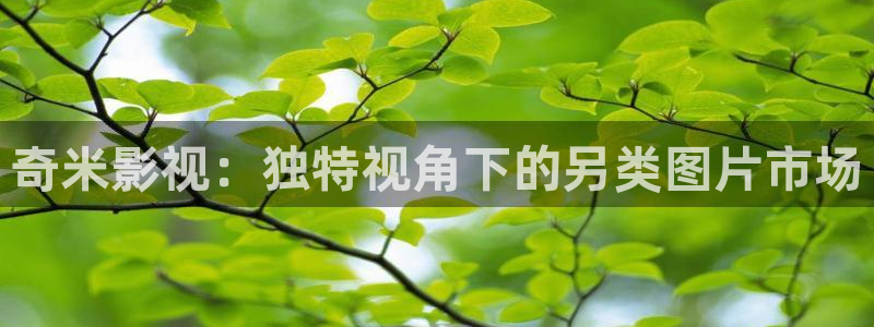 羞羞影院在线看：奇米影视：独特视角下的另类图片市场