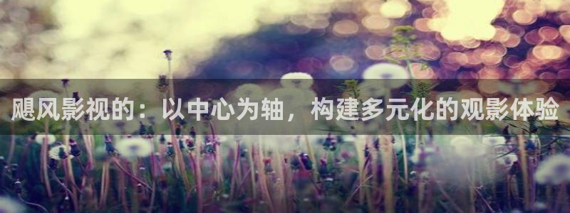 午夜羞羞影院男女爽爽爽：飓风影视的：以中心为轴，构建多元化的观影体验
