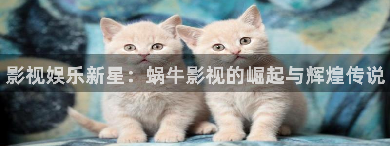 羞羞影院深夜影院：影视娱乐新星：蜗牛影视的崛起与辉煌传说