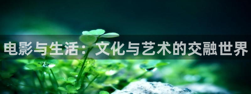 午夜羞羞影院在线观看：电影与生活：文化与艺术的交融世界